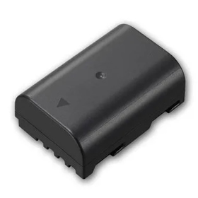 Batterie DMW-BLF19E pour appareil photo Panasonic