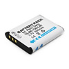 Batteries pour Sanyo Xacti VPC-CG20EX-B